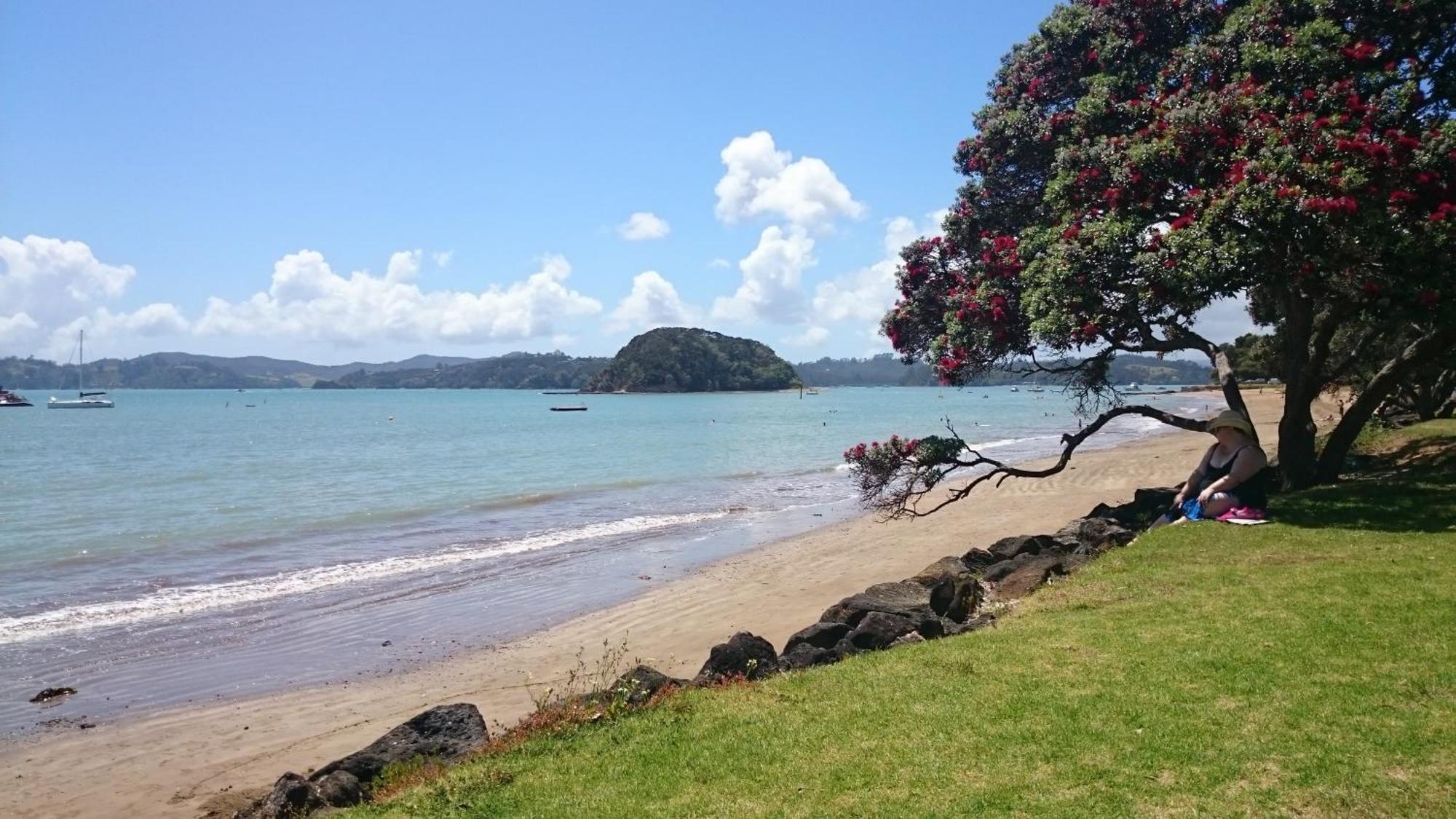 Ala Moana Motel Paihia Exteriör bild